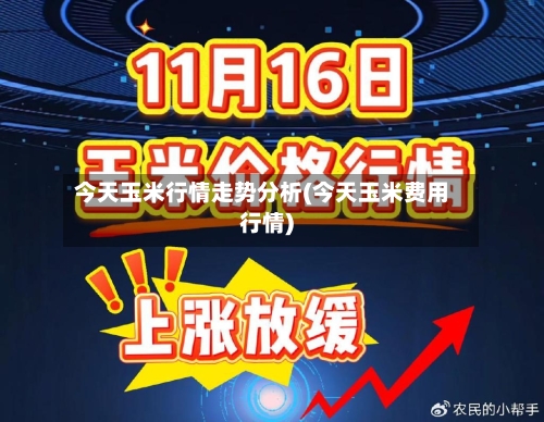 今天玉米行情走势分析(今天玉米费用行情)