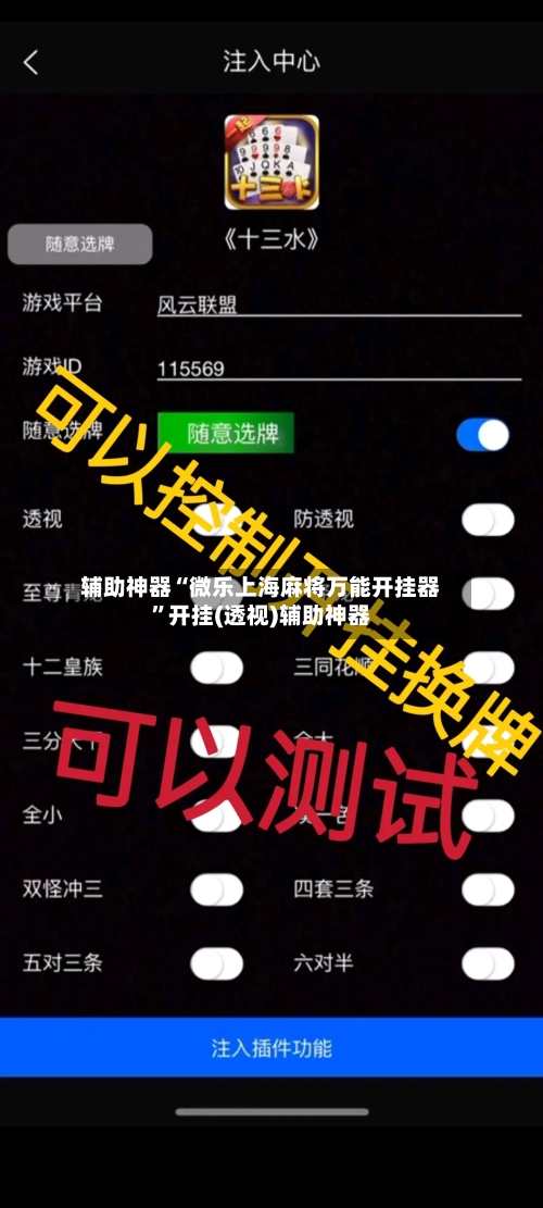 辅助神器“微乐上海麻将万能开挂器	”开挂(透视)辅助神器-第2张图片