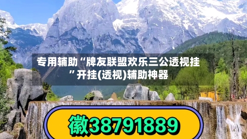 专用辅助“牌友联盟欢乐三公透视挂”开挂(透视)辅助神器-第2张图片