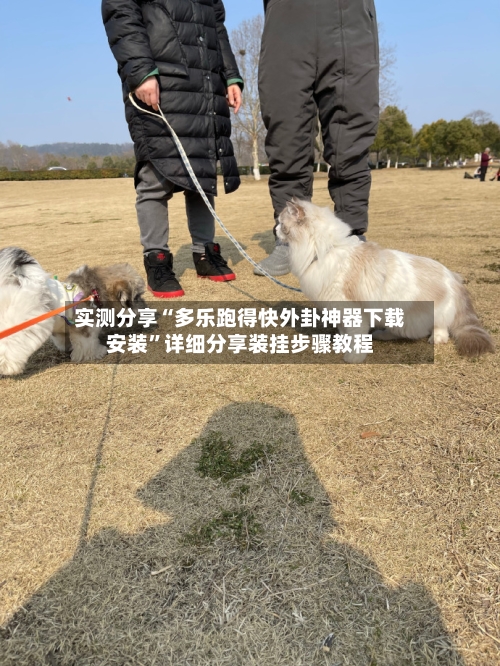 实测分享“多乐跑得快外卦神器下载安装	”详细分享装挂步骤教程-第2张图片
