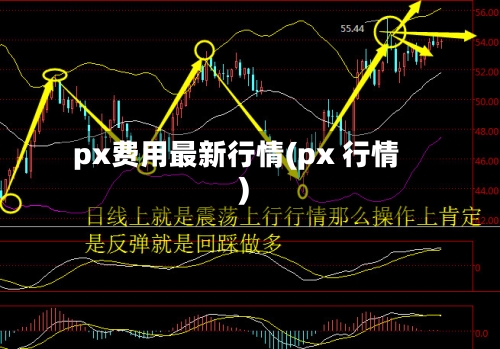 px费用最新行情(px 行情)-第2张图片