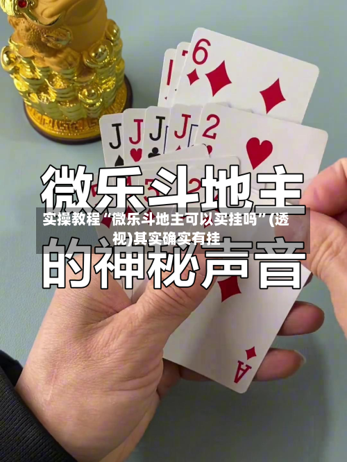 实操教程“微乐斗地主可以买挂吗	”(透视)其实确实有挂-第2张图片