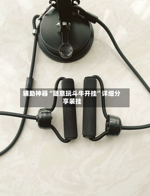 辅助神器“随意玩斗牛开挂	”详细分享装挂-第2张图片