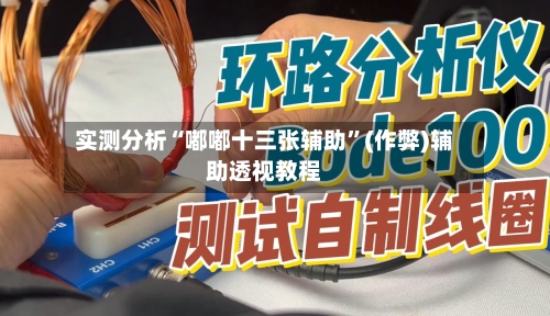 实测分析“嘟嘟十三张辅助”(作弊)辅助透视教程-第2张图片