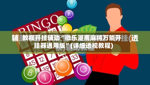 教程开挂辅助“微乐湖南麻将万能开挂器通用版”(详细透视教程)-第2张图片