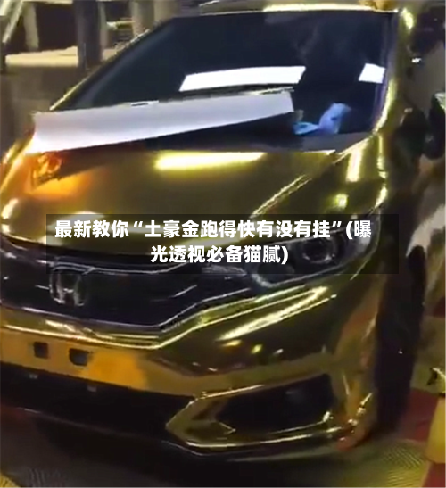 最新教你“土豪金跑得快有没有挂	”(曝光透视必备猫腻)-第2张图片