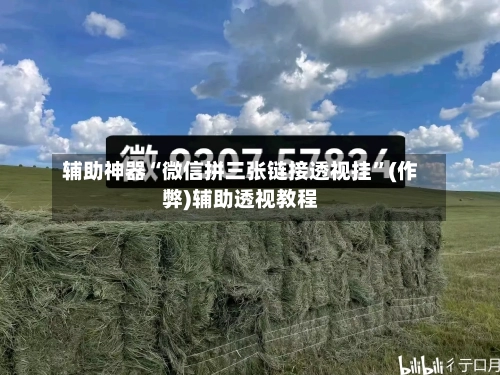 辅助神器“微信拼三张链接透视挂”(作弊)辅助透视教程-第2张图片