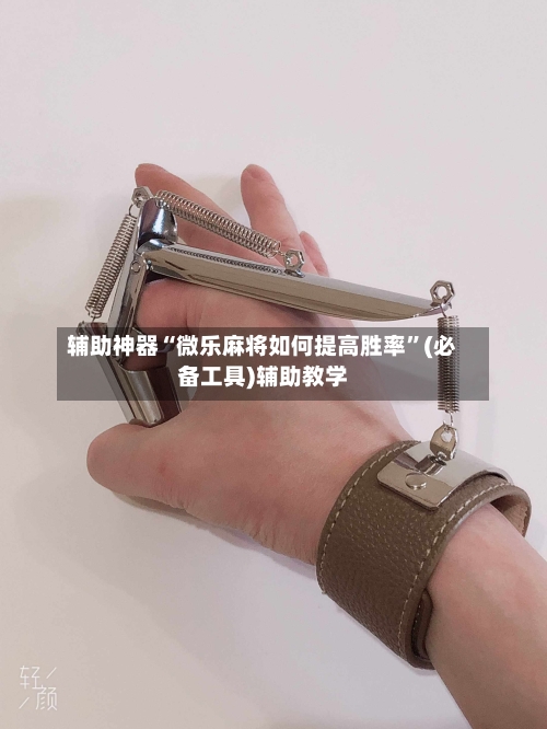 辅助神器“微乐麻将如何提高胜率”(必备工具)辅助教学-第2张图片