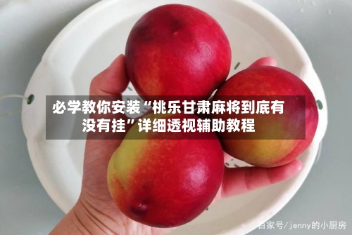 必学教你安装“桃乐甘肃麻将到底有没有挂”详细透视辅助教程