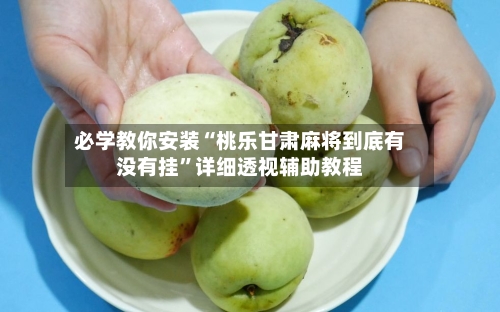必学教你安装“桃乐甘肃麻将到底有没有挂	”详细透视辅助教程-第2张图片