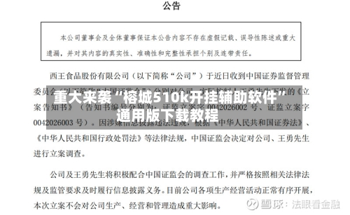 重大来袭“榕城510k开挂辅助软件”通用版下载教程-第3张图片