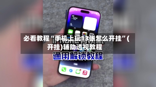 必看教程“手机上玩13张怎么开挂”(开挂)辅助透视教程-第2张图片