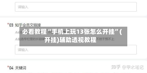 必看教程“手机上玩13张怎么开挂”(开挂)辅助透视教程-第3张图片