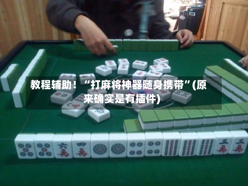 教程辅助！“打麻将神器随身携带”(原来确实是有插件)-第3张图片