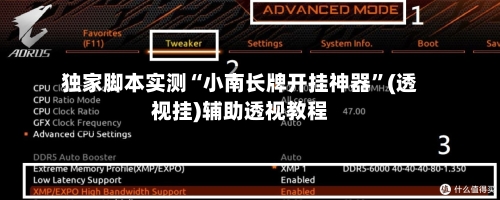 独家脚本实测“小南长牌开挂神器”(透视挂)辅助透视教程-第2张图片