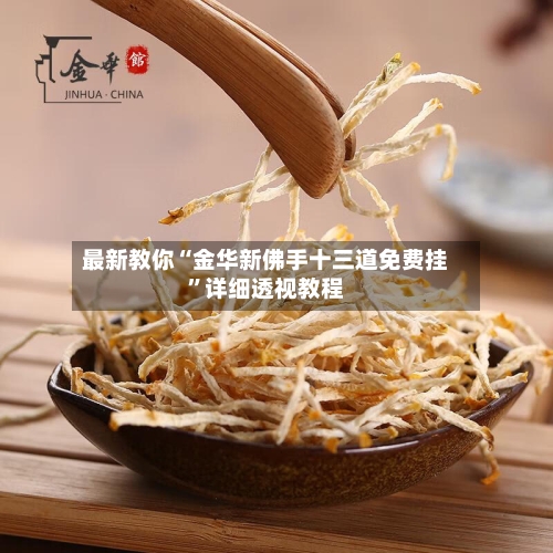 最新教你“金华新佛手十三道免费挂”详细透视教程