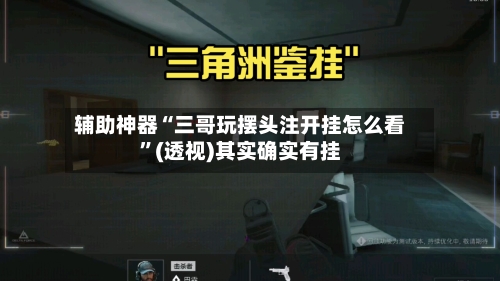 辅助神器“三哥玩摆头注开挂怎么看”(透视)其实确实有挂