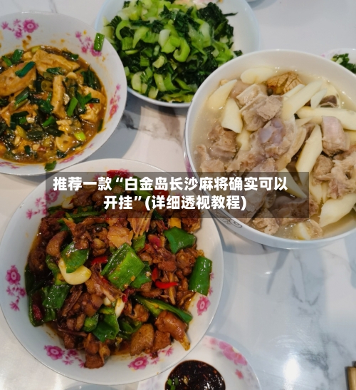 推荐一款“白金岛长沙麻将确实可以开挂”(详细透视教程)-第2张图片