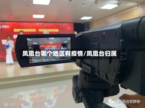 凤凰台哪个地区有疫情/凤凰台归属