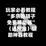 玩家必看教程“多乐跑胡子免费辅助器”（透视挂）辅助神器教程-第2张图片