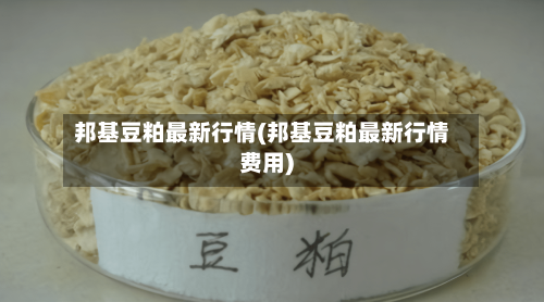 邦基豆粕最新行情(邦基豆粕最新行情费用)