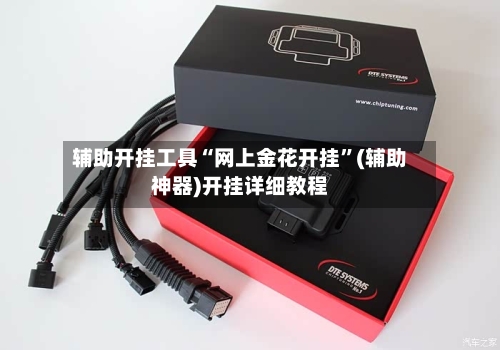 辅助开挂工具“网上金花开挂”(辅助神器)开挂详细教程-第3张图片