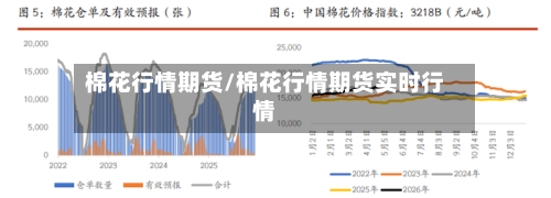 棉花行情期货/棉花行情期货实时行情