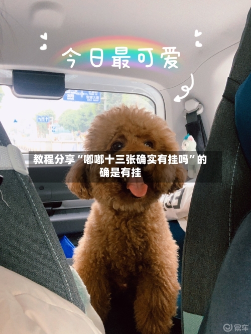教程分享“嘟嘟十三张确实有挂吗”的确是有挂-第2张图片
