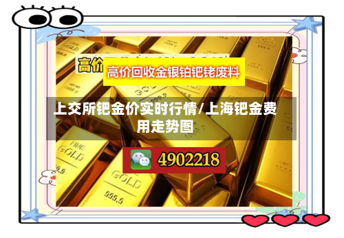 上交所钯金价实时行情/上海钯金费用走势图