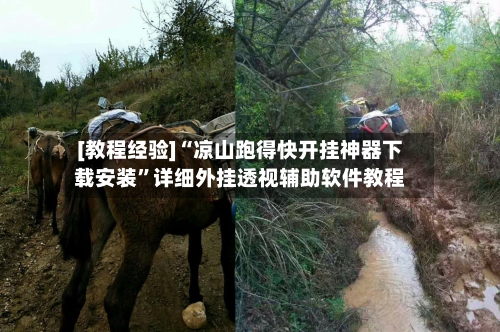 [教程经验]“凉山跑得快开挂神器下载安装”详细外挂透视辅助软件教程-第2张图片