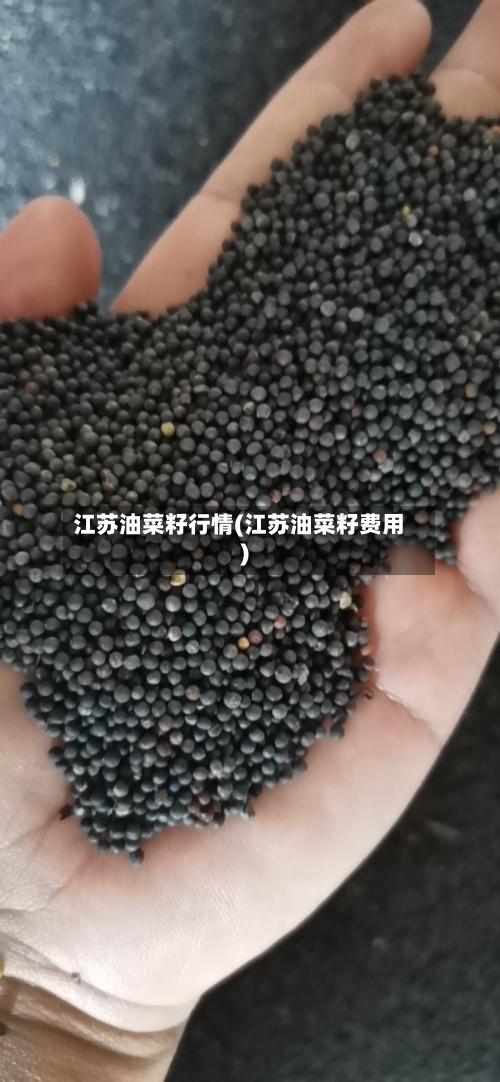 江苏油菜籽行情(江苏油菜籽费用)-第2张图片