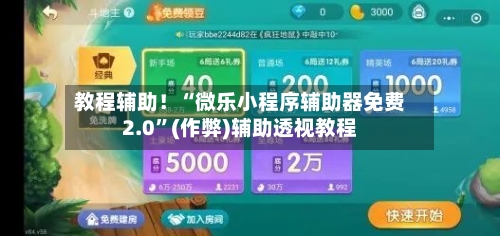 教程辅助！“微乐小程序辅助器免费2.0	”(作弊)辅助透视教程-第2张图片