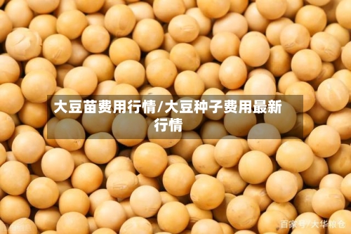 大豆苗费用行情/大豆种子费用最新行情