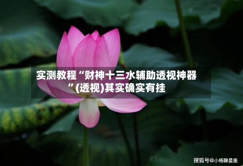 实测教程“财神十三水辅助透视神器”(透视)其实确实有挂-第2张图片