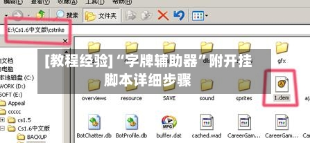 [教程经验]“字牌辅助器”附开挂脚本详细步骤-第2张图片