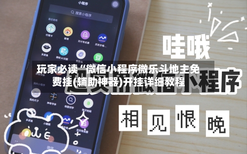 玩家必读“微信小程序微乐斗地主免费挂(辅助神器)开挂详细教程-第2张图片
