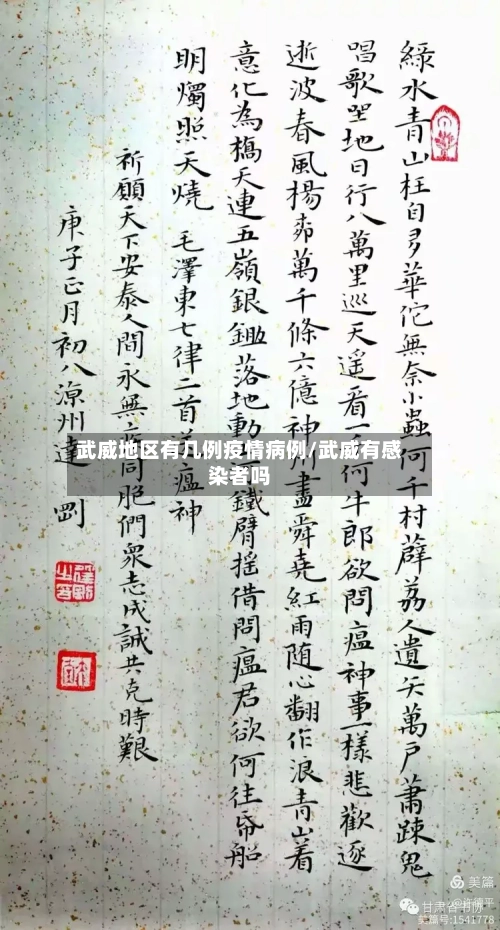 武威地区有几例疫情病例/武威有感染者吗
