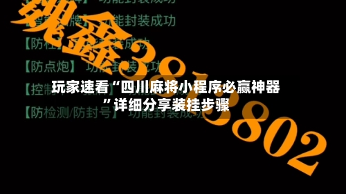 玩家速看“四川麻将小程序必赢神器	”详细分享装挂步骤-第2张图片
