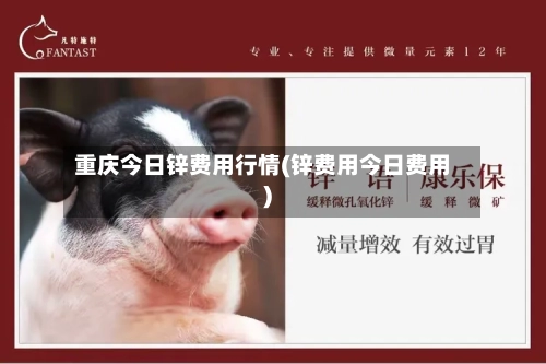 重庆今日锌费用行情(锌费用今日费用)