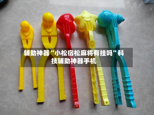 辅助神器“小松宿松麻将有挂吗”科技辅助神器手机-第2张图片
