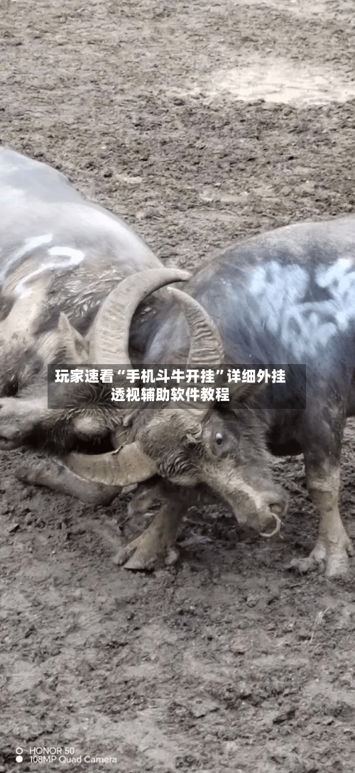 玩家速看“手机斗牛开挂”详细外挂透视辅助软件教程-第2张图片