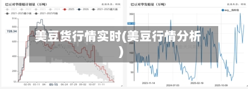 美豆货行情实时(美豆行情分析)