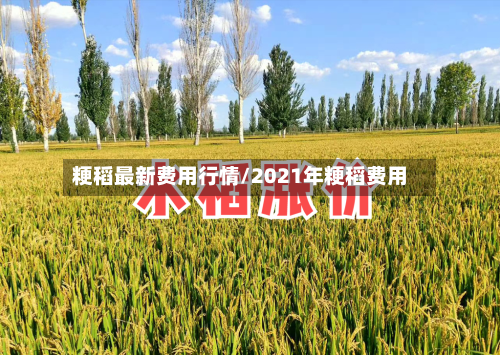 粳稻最新费用行情/2021年粳稻费用-第2张图片