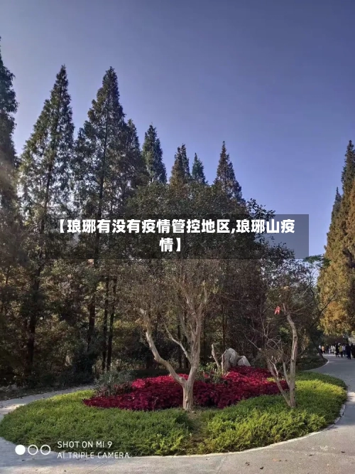 【琅琊有没有疫情管控地区,琅琊山疫情】-第2张图片