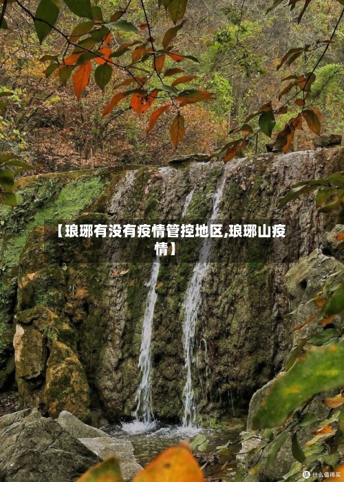 【琅琊有没有疫情管控地区,琅琊山疫情】