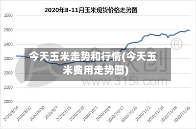 今天玉米走势和行情(今天玉米费用走势图)-第2张图片