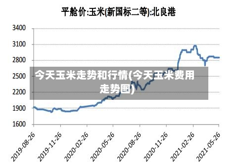 今天玉米走势和行情(今天玉米费用走势图)