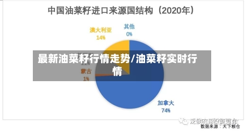最新油菜籽行情走势/油菜籽实时行情