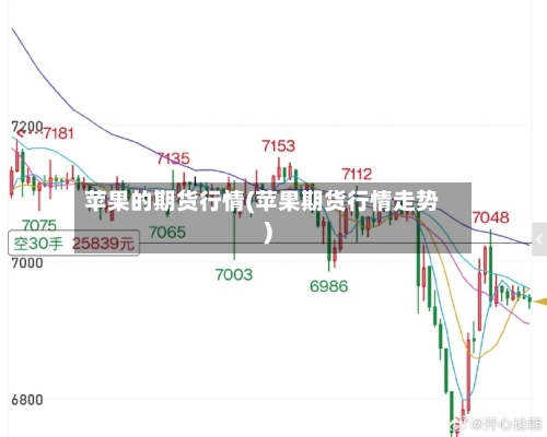 苹果的期货行情(苹果期货行情走势)