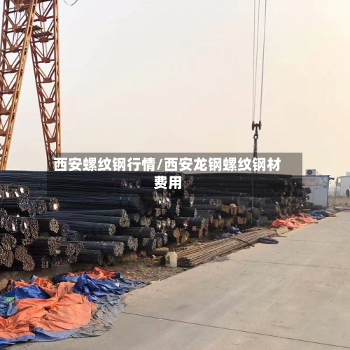 西安螺纹钢行情/西安龙钢螺纹钢材费用